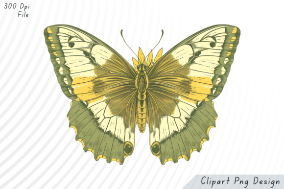 Download Vintage Yellow Green Butterfly PNG Clipa - Green Collection